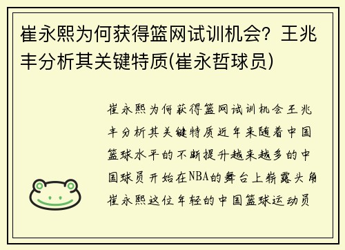 崔永熙为何获得篮网试训机会？王兆丰分析其关键特质(崔永哲球员)